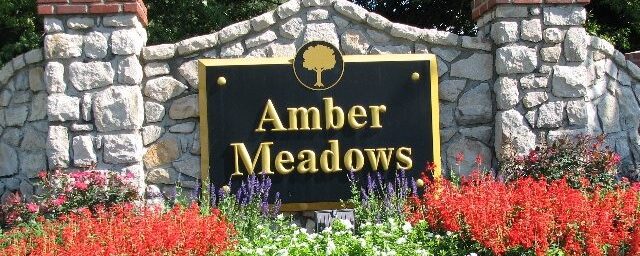My Amber Meadows
